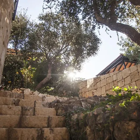 Luxury Caretta カシュ