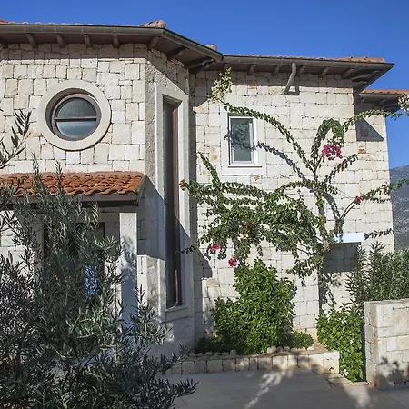 Luxury Caretta * 卡斯