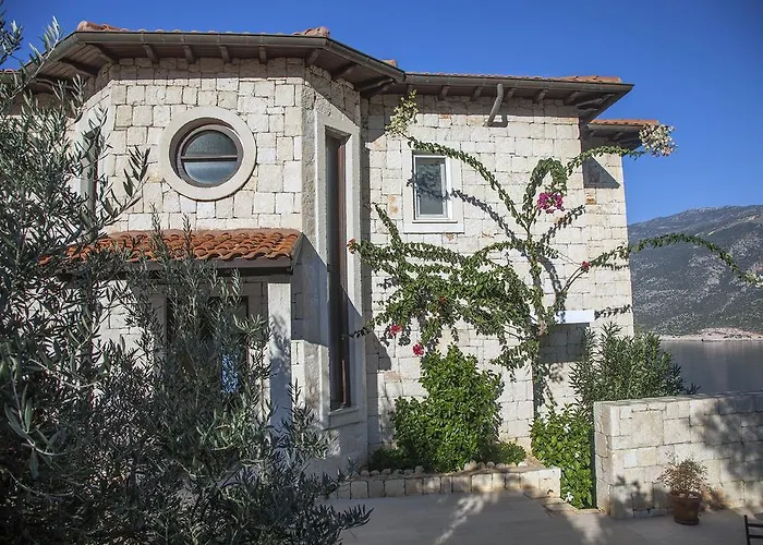 Luxury Caretta * 卡斯